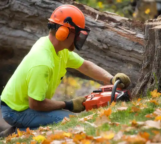 tree services Happy Valley